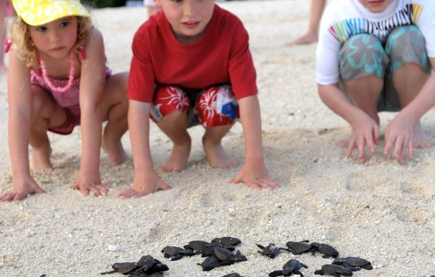 Lautoka Sightseeing Village Tour Fiji