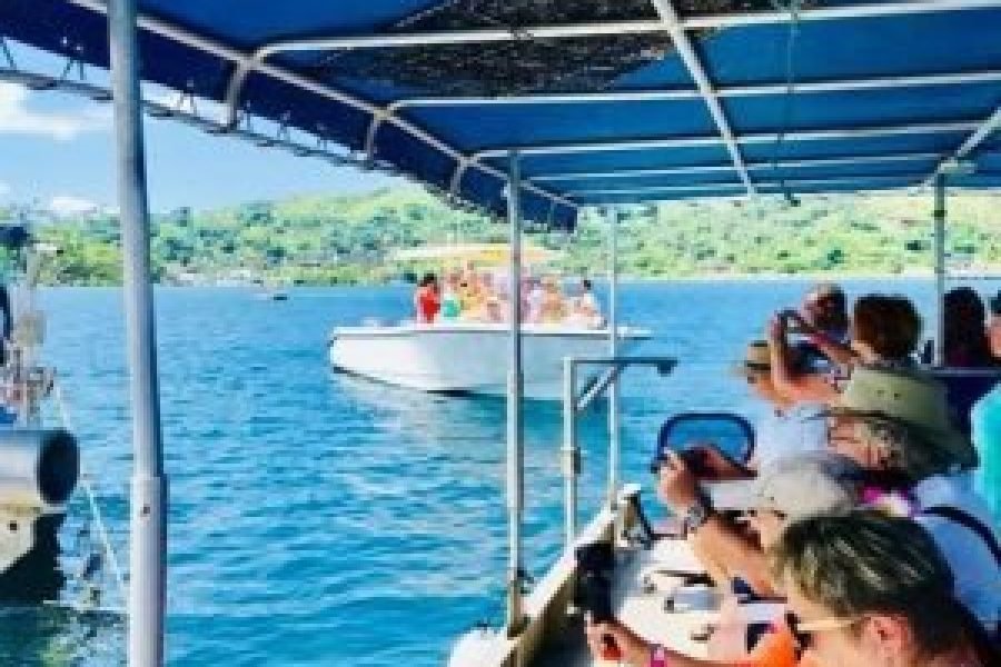 The Best Savusavu Tour & Excursions for 2026