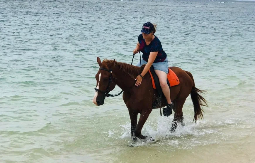 Natadola Beach Horse Riding Fiji – AU$95