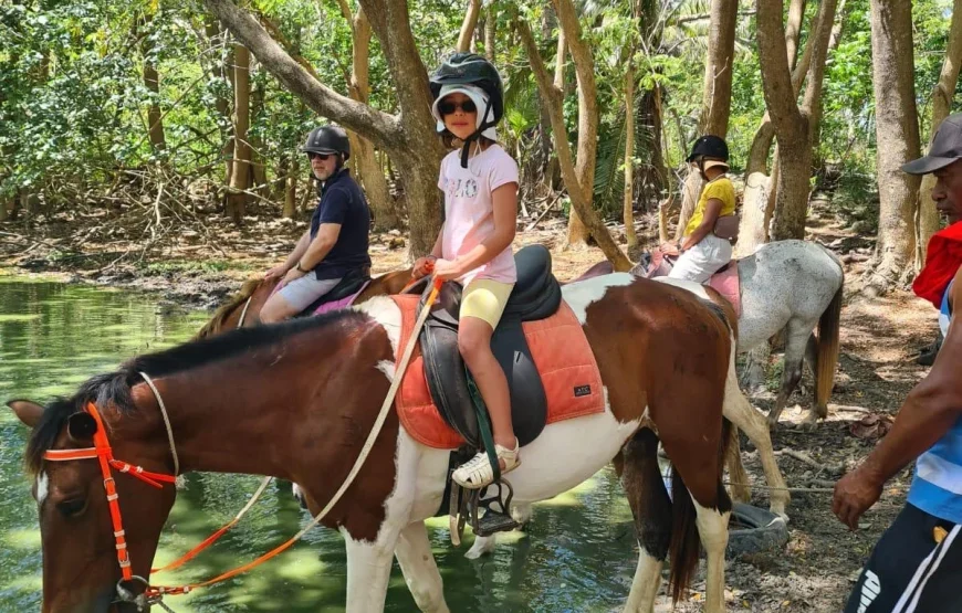 Natadola Beach Combinational Horse Riding Fiji
