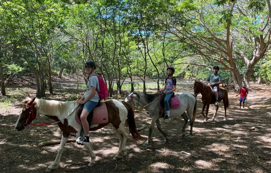 Natadola Beach Combinational Horse Riding Fiji
