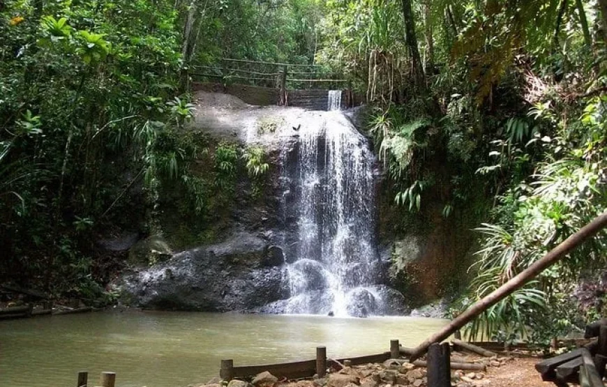 Colo-i-Suva Forest Waterfall Tour