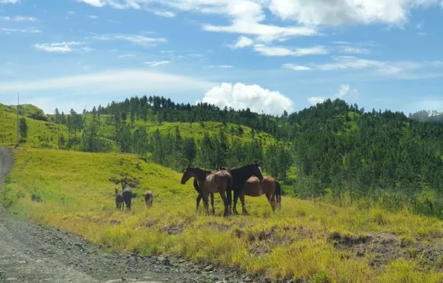 Highland Village Tour