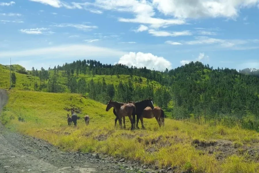 Highland Village Tour