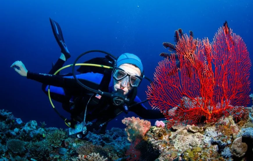 Savusavu Beach & Snorkeling Adventure