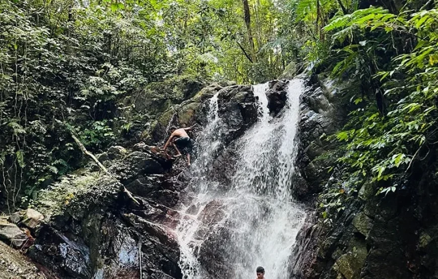 Coral Coast Fiji Waterfall and Rainforest Horse Riding 2026