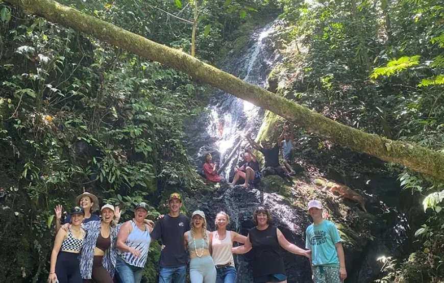 Coral Coast Fiji Waterfall and Rainforest Horse Riding 2026