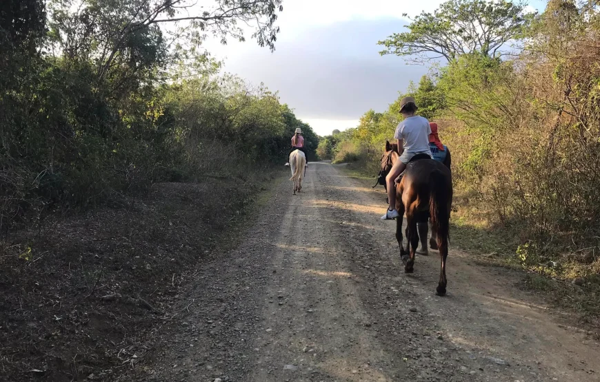 Natadola Beach Cross Country Horse Riding Fiji
