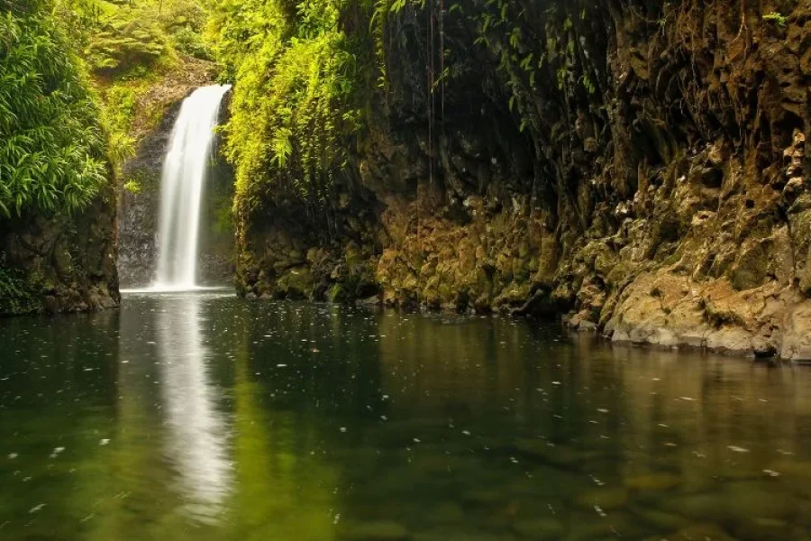 Iconic Waterfall Tour Fiji