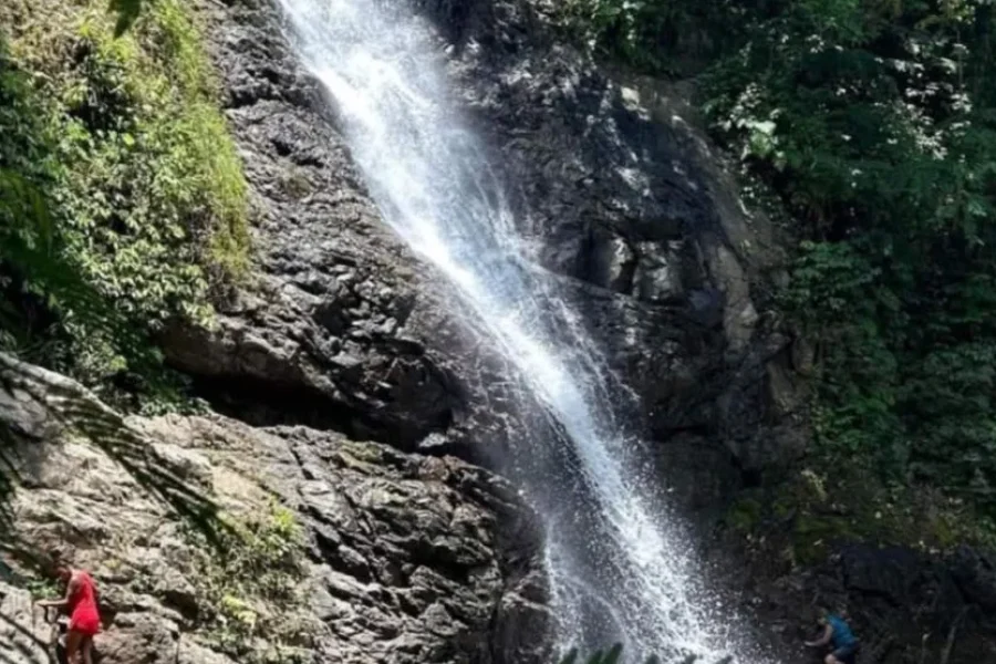 The Top Fiji Half-day Snorkelling Tour (Advance Payment)