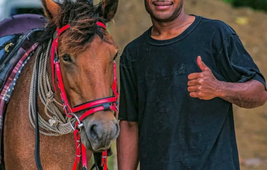 Coral Coast Fiji Mountain View Horse Riding 2026