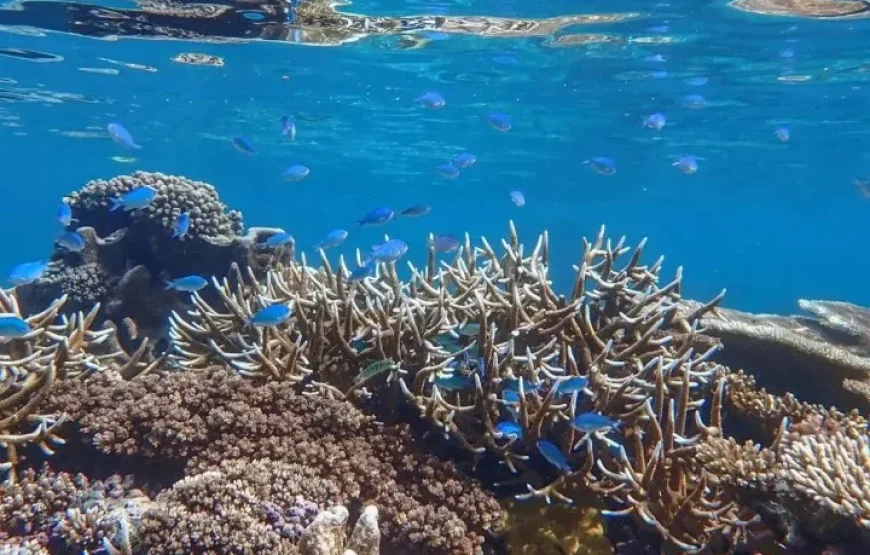 Salt Lake River Kayak Tour